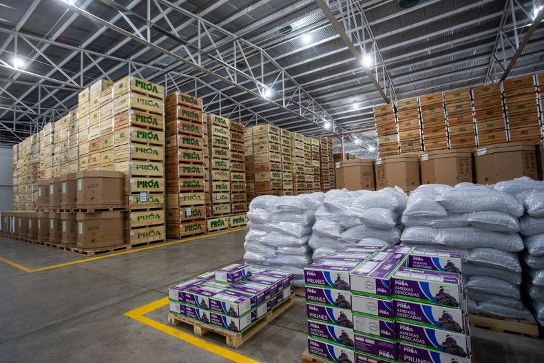 La zona de almacenamiento de la ciruela ya procesadas en PROA,