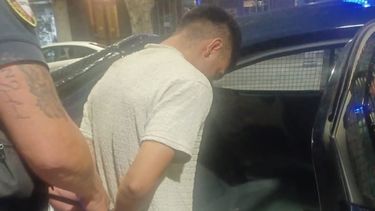 Sitio Andino | detenido por robo