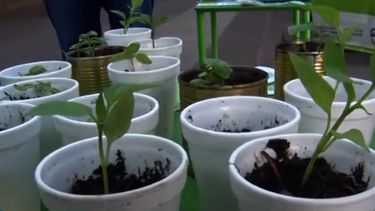 Economía alimentaria en San Rafael.