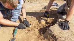 Hallazgo histórico y sorprendente en Israel revoluciona lo que se sabía sobre la antigüedad