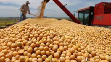 El 75% de las exportaciones salen de la Pampa Húmeda