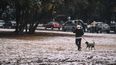Nieve: el fenómeno que todos esperan podría volver este fin de semana a Mendoza.