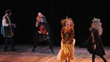 Sitio Andino | el valiente robin hood