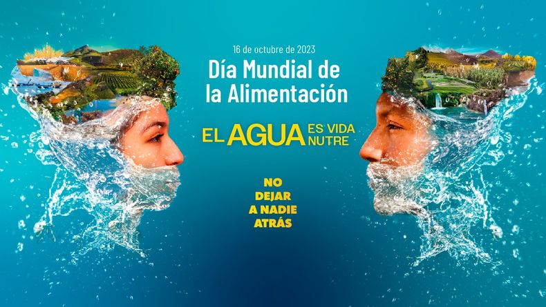 Día Mundial De La Alimentación: Por Qué Se Celebra Hoy, 16 De Octubre