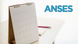 ANSES: conocé el calendario de pagos completo para agosto 2025