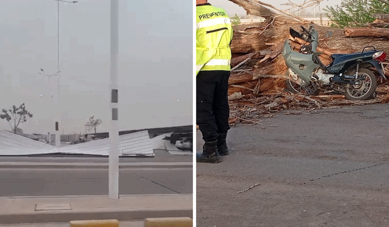 El fuerte viento en Mendoza deja graves daños: árboles caídos, incendios y un muerto