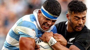 los pumas pierden a uno de sus cimientos por seis meses