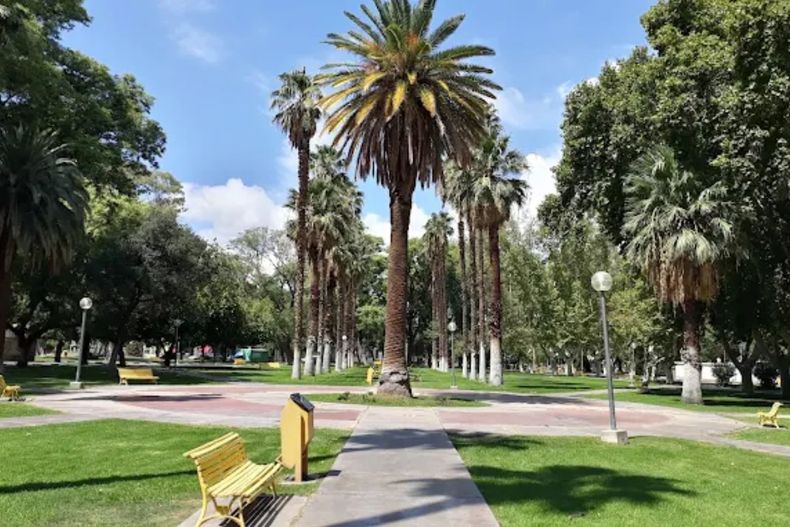 Naturaleza y vida al aire libre en el Parque de Mayo, San Juan