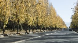 Continúa el ascenso de la temperatura, el pronóstico para este jueves 1 de mayo en Mendoza.