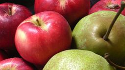 Productores de peras y manzanas podrán refinanciar deudas previsionales hasta en 7 años