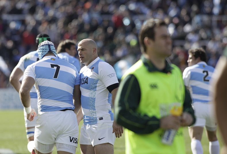 los pumas vs springboks