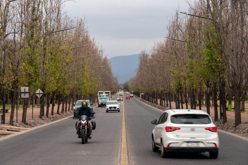 Descenso de la temperatura, el pronóstico del tiempo para este martes 11 de abril en Mendoza.