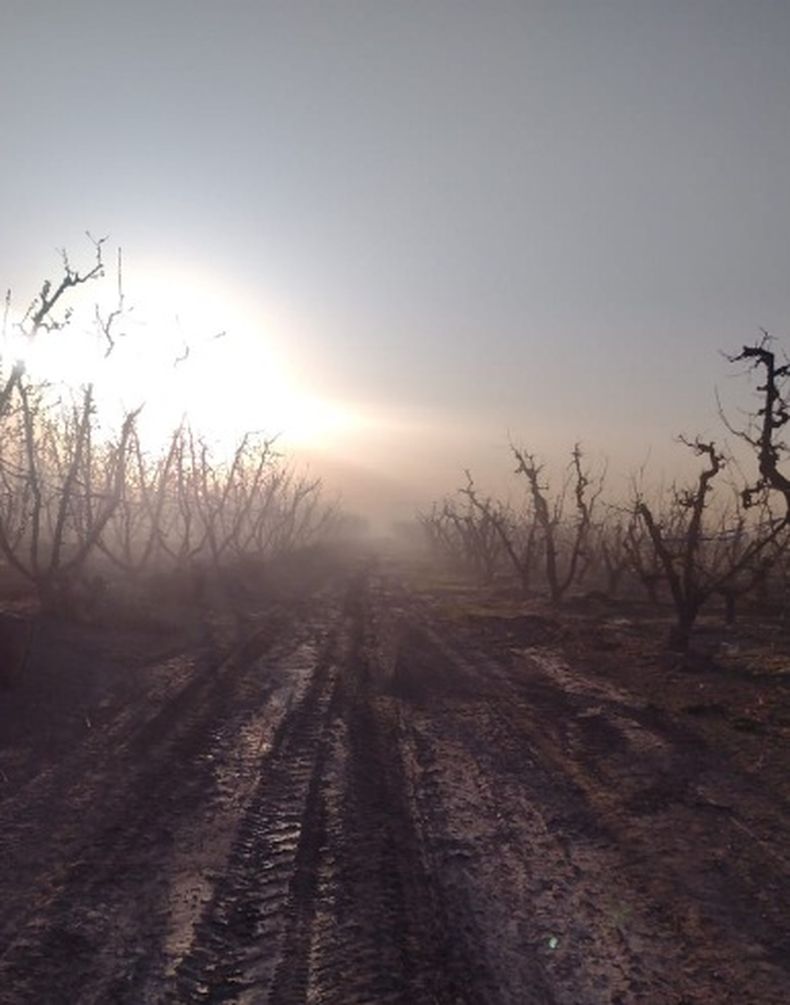 INTA asesora a productores afectados por heladas