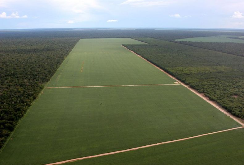 Amazonas desforestación agricultura medio ambiente calentamiento global