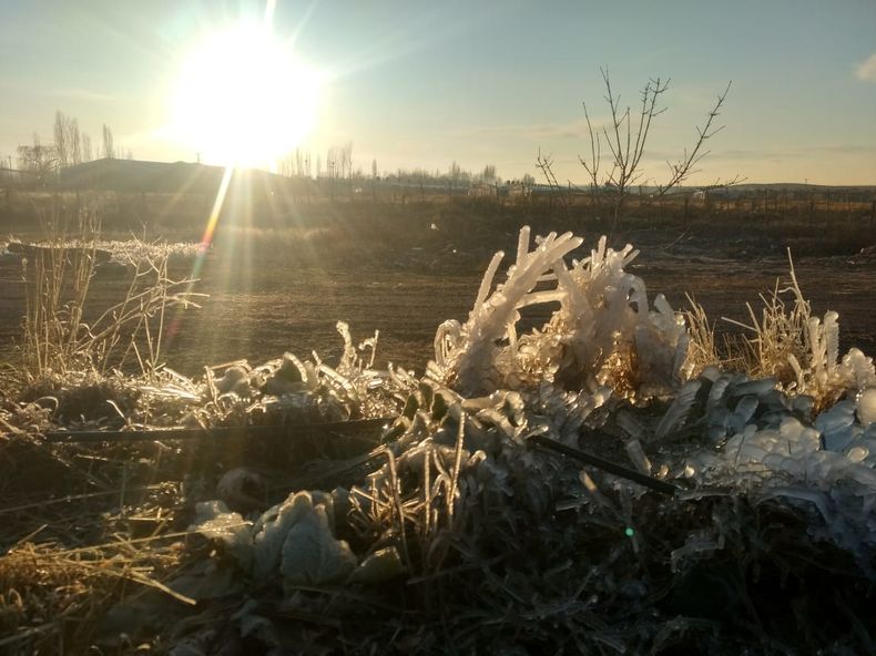 El Seguro Agrícola cubrirá daños por heladas en Valle de Uco