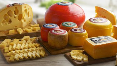 Quesos de Tandil debutan en el mercado norteamericano