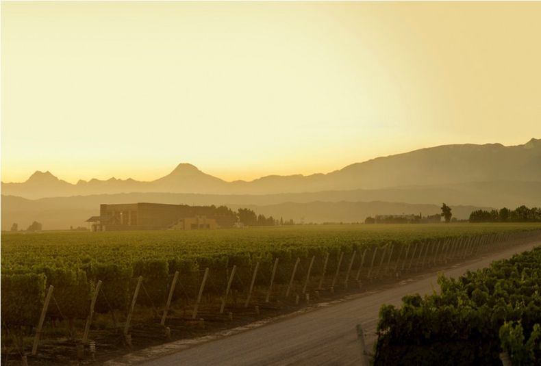 Bodega Septima enoturismo vinos vides viñedos
