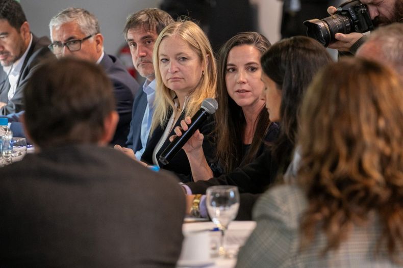 Mendoza presente en el Plan regional de seguridad: qué se discutió