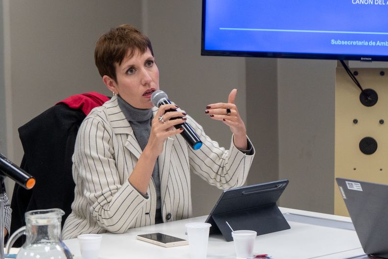 La ministra de Energía y Ambiente, Jimena Latorre, explicó su postura respecto a la zona fría.&nbsp;