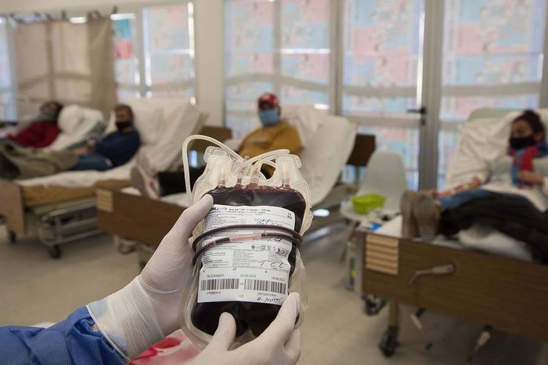 Se busca incentivar la donación de sangre. &nbsp;