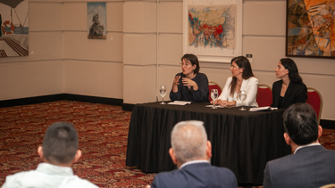 Arte y territorio en el MMAM y el Quintanilla.