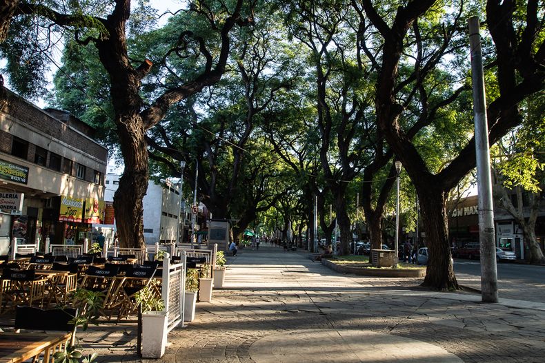 Paseo Alameda, en la Ciudad de Mendoza.