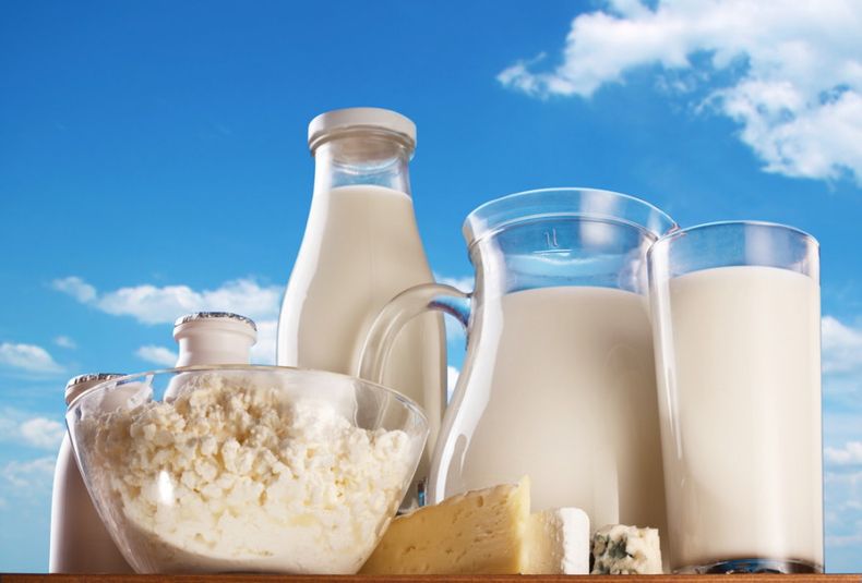 Leche lácteos