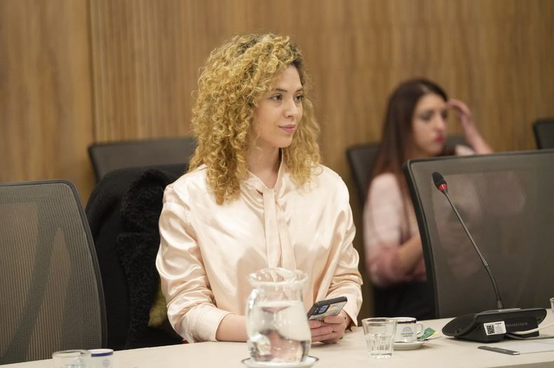 Lourdes Arrieta comisiones diputados.jpg