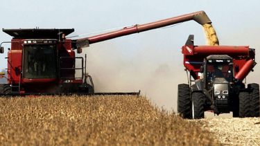 La cosecha de trigo avanzó durante la semana y restan recolectar 600.000 hectáreas