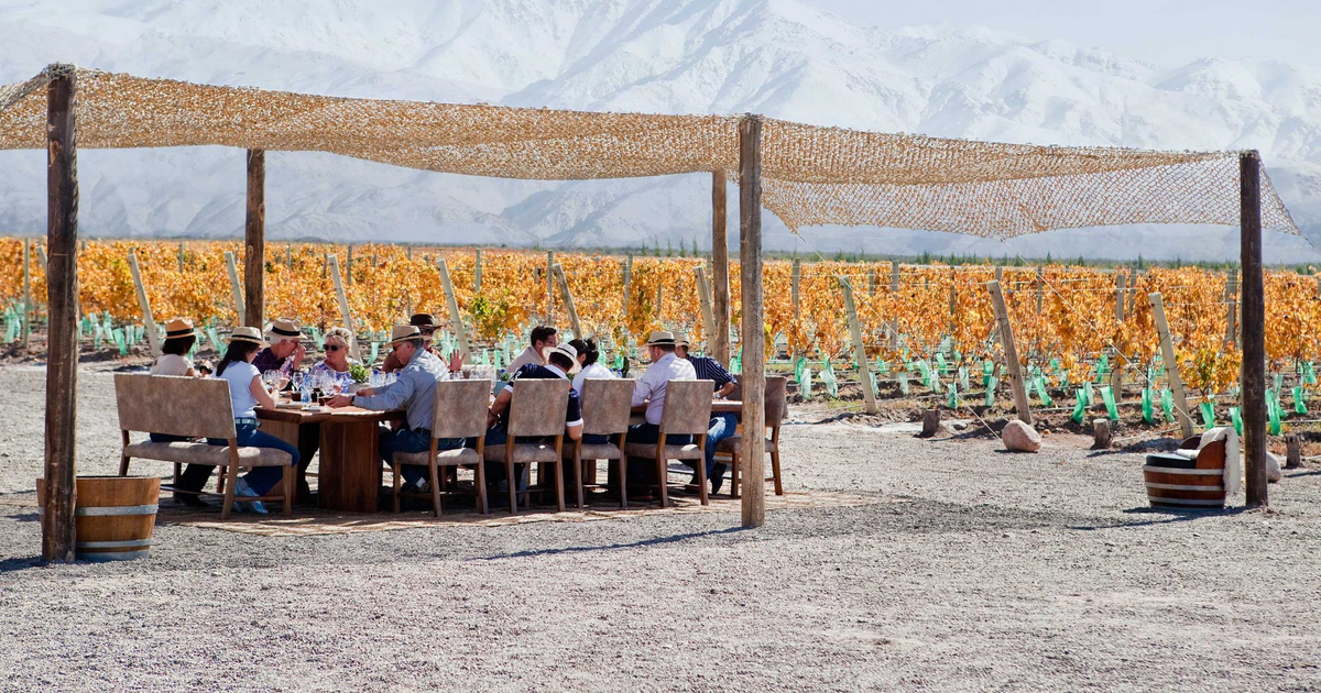 COVIAR presentó una plataforma de sostenibilidad para bodegas turísticas