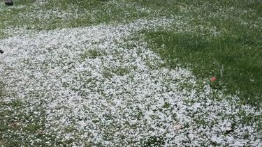 Se registró la caída de granizo en varios distritos del Sur este viernes. Se registró la caída de granizo en varios distritos del Sur este viernes.