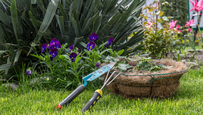 Comenz&oacute; septiembre, el mes predilecto de las plantas de los jardines de Mendoza