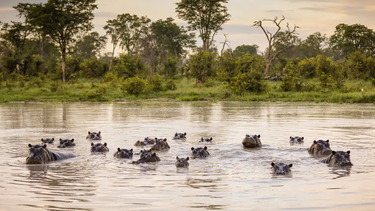 Fotogalería, lugares de África