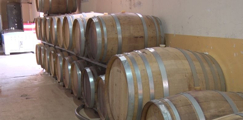 Cosecha 2023, sin lugar a dudas será un año muy complicado para la industria