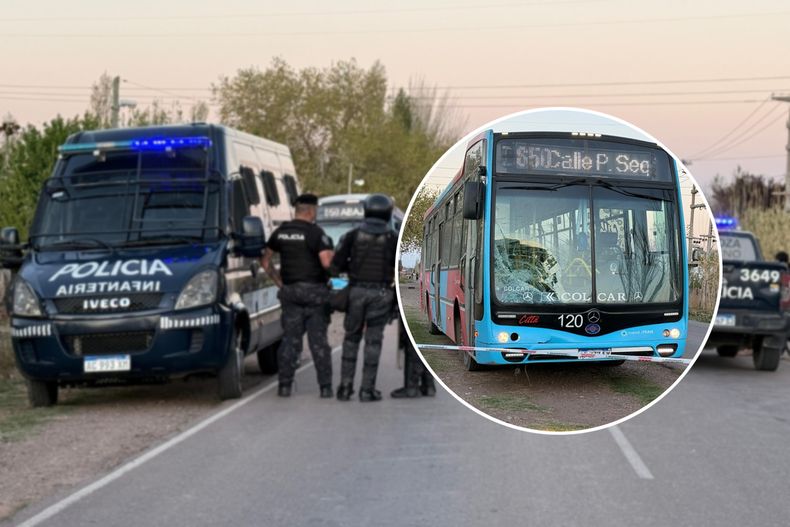 El accidente vial causó fuerte conmoción en El Algarrobal, Las Heras.