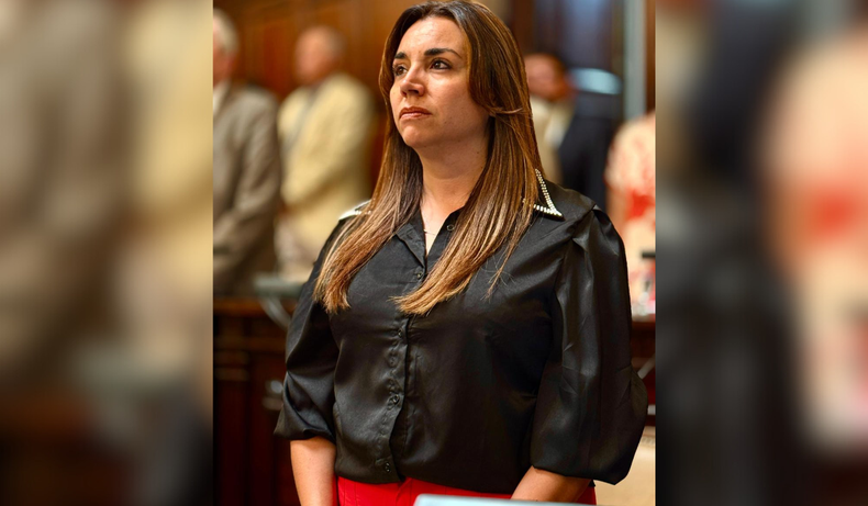 El proyecto de Gómez incluye una campaña de información y programas de contención para madres.