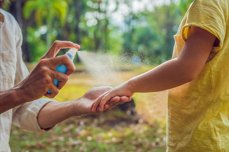 Dengue: el uso de repelente es una de las principales medidas de prevención