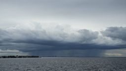 Huracán Milton: la terrible advertencia de la alcaldesa de Tampa.