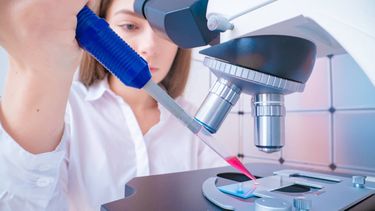 El drama de los que esperan un diagnóstico: porqué las biopsias se demoran meses