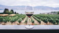 El vino en Mendoza: guía definitiva para entender, disfrutar y descubrir la bebida que convirtió a la provincia en una potencia mundial
