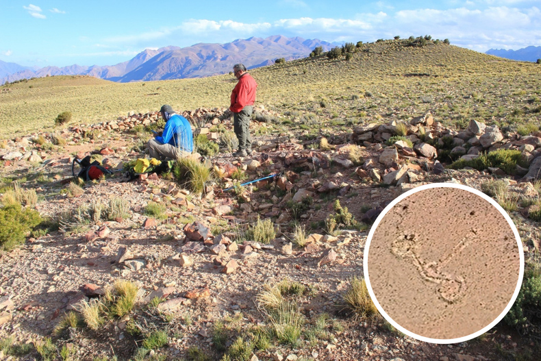 Arqueología sin precedentes en Mendoza: investigarán una estructura que podría ser un geoglifo