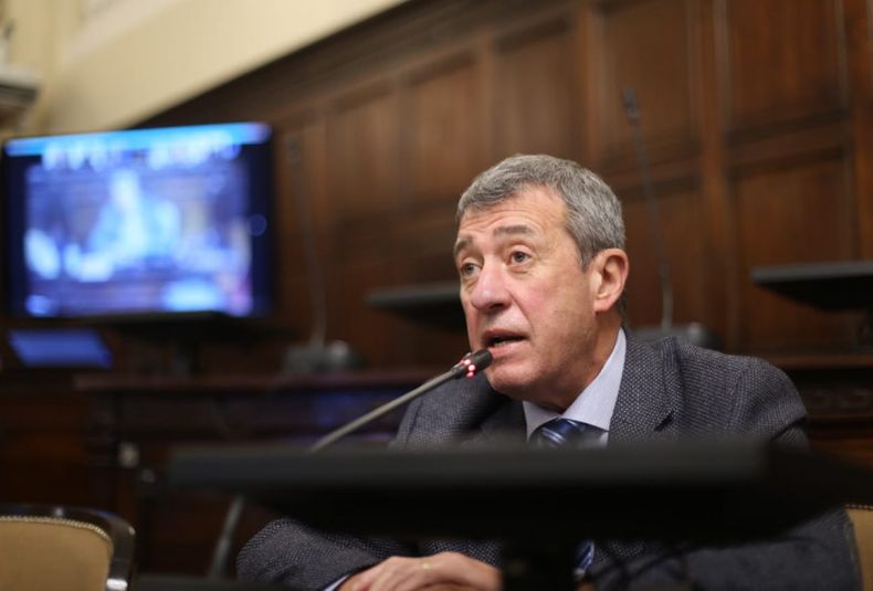 Adolfo Bermejo, senado, senador, legislatura, Frente de Todos