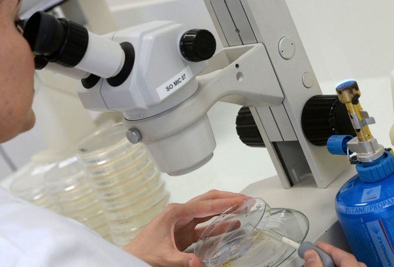 Virus Ébola: Argentina activó protocolos en los puertos del país.