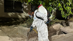 Imagen ilustrativa: fumigador del mosquito del dengue
