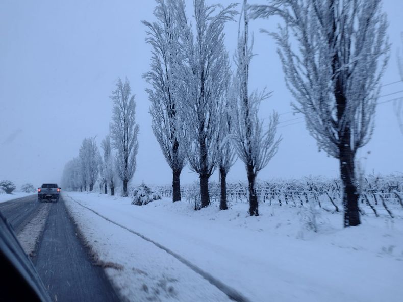 Mendoza despert&oacute; cubierta de nieve.