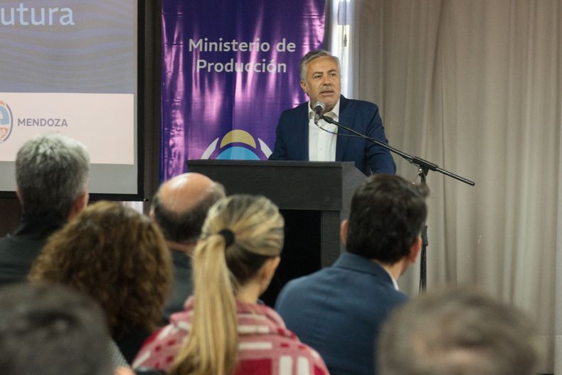 El gobernador Alfredo Cornejo su participación en el Centro de Estudios del Cobre y la Minería en Chile.