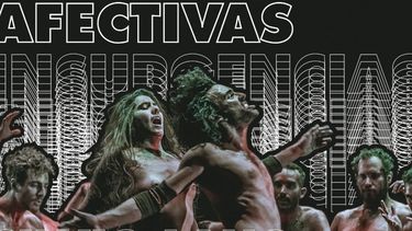 Sitio Andino | Seminario Insurgencias Afectivas