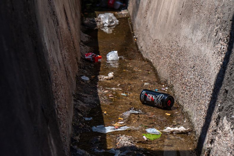 Dengue en Mendoza: Salud insta a la población a reforzar las medidas de prevención.