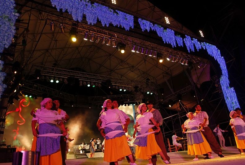 Vendimia Tunuyan 2013