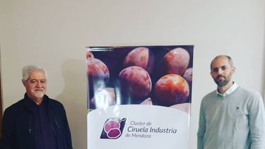 Ciruela Industria: se fortalece el cluster y sigue trabajando por el sector